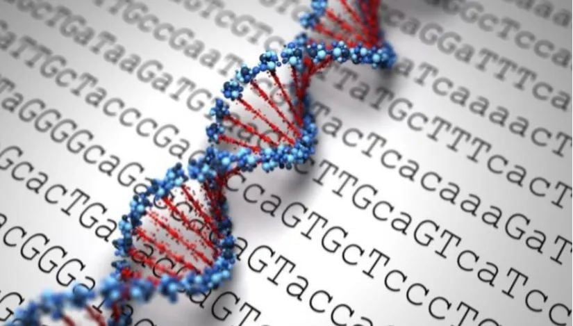 Moleküler Genetik