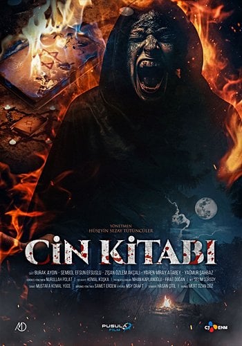 Cin Kitabı