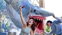 How 'Jaws' fans can celebrate 50th anniversary at Universal Studios Hollywood, Florida