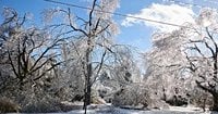 What are frost quakes? That popping noise, tremor could be a sign of cryoseism