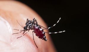 Thailand's Health Ministry Issues Dengue Fever Alerts And Water Safety Guidelines