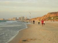 Tel Aviv beach closed after shark sighting