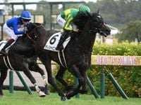 【皐月賞予想】ハイレベルレースや中山でのレース経験が重要!? 前走で重賞勝利も消去法データに該当した人気馬とは | スポーツブル (スポブル)
