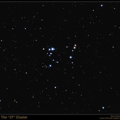 The 37 Cluster