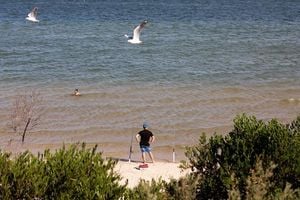 Intense Heatwave Hits New South Wales Sparking Bushfire Warnings