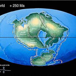 Pangea Ultima: Earth in 250 Million Years?