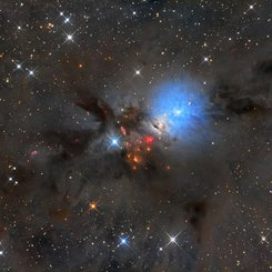  NGC 1333: Stellar Nursery in Perseus 