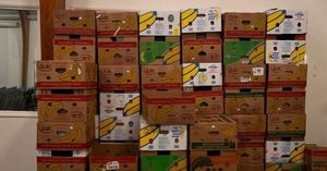 Supreme Court Showdown Leaves SNAP Recipients In Limbo