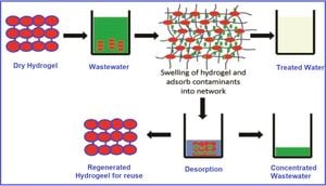 Bioinspired Hydrophobic Pseudo-Hydrogel Transforms Shape Morphing