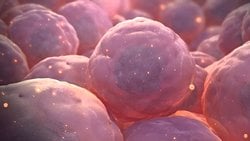 Hücreler Neden Yuvarlaktır ve Bölünerek Çoğalırlar?