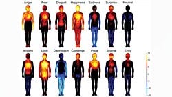 Vücut His Haritası, Duygularımızın Organlarla İlişkisini Ortaya Koyuyor!