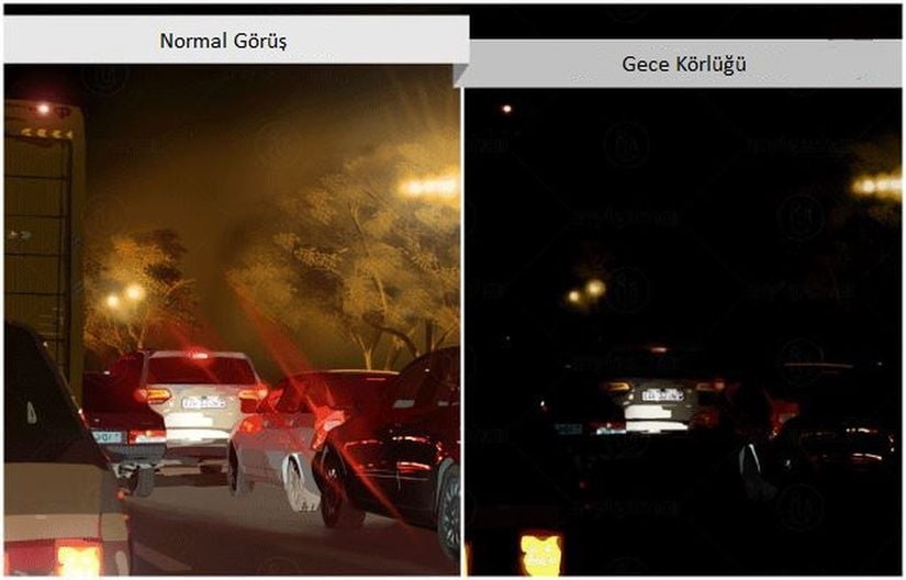 A vitamini eksikliği sonucunda görülen gece körlüğü ile sağlıklı bir bireyin görüşü arasındaki fark.