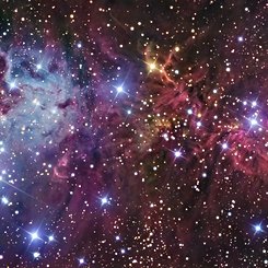 Fox Fur, a Unicorn, and a Christmas Tree