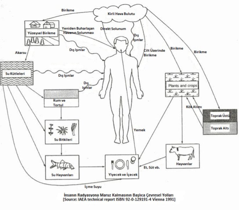 İnsanın Radyasyona Maruz Kalmasının Başlıca Çevresel Yolları