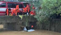 Three die due to heavy rain in Seoul