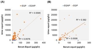 Significant Gender Differences Uncovered In (S)-Equol Bioavailability