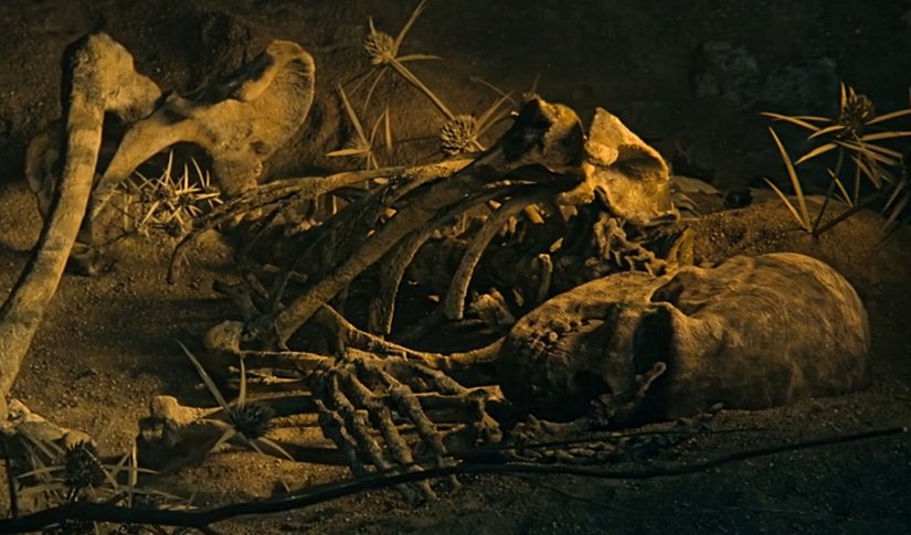 Şanidar Mağarasında Bulunan "Çiçek Gömü" Fosilinin Yapay Çizimi