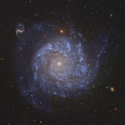 NGC 1309: Spiral Galaxy and Friends