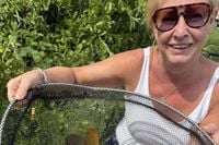 Rabies warning as British grandmother dies after scratch from stray puppy in Morocco