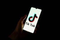 TikTok Investigated in France Over Content That Promotes Suicide