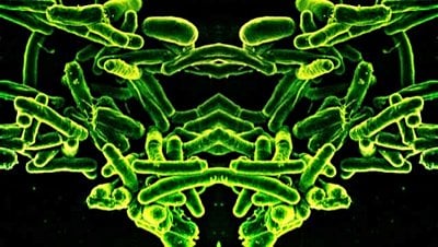 Ayna Yaşam Formları Kulağa Bilimkurgu Gibi Gelebilir, Ancak Bilim İnsanları Bu Formların İnsanlar İçin Ölümcül Olabileceği ve Çevreyi Yok Edebileceği Konusunda Uyarıyor!