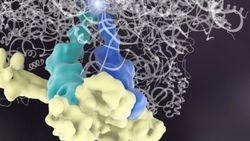 Proteinlerin; DNA veya RNA'ya İhtiyaç Olmaksızın, Diğer Proteinlerin Üretimini Yönetebileceği Gösterildi!