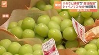 ふるさと納税のシャインマスカット11トン以上産地偽装　長野県須坂市（TBS NEWS DIG Powered by JNN） - Yahoo!ニュース