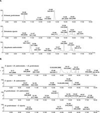 Phytochemical screening, UPLC analysis, evaluation of synergistic antioxidant and antibacterial efficacy of three medicinal plants used in Kinshasa, D.R. Congo - Scientific Reports
