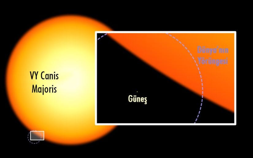 Canis Majoris'in büyüklüğü yanında, gezegenimizin yörüngesi bile önemsiz büyüklüktedir.