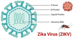 Study Identifies Key Regulators Of Antiviral Response To Zika Virus