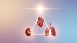 Bir Hayat Vermek: Organ Bağışının Kalbe Dokunan Hikayeleri ve Bilinmeyenleri