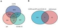 A bioinformatics approach combined with experimental validation analyzes the efficacy of azithromycin in treating SARS-CoV-2 infection in patients with IPF and COPD These authors contributed equally: Yining Xie, Guangshu Chen, and Weiling Wu - Scientific Reports