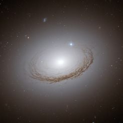 Unusual Dusty Galaxy NGC 7049