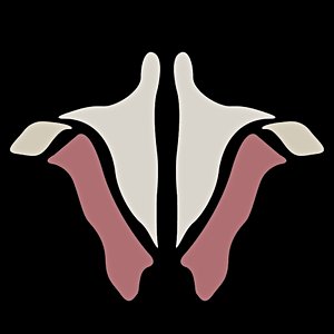 Institute of Human Anatomy