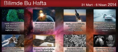 31 Mart - 6 Nisan 2014