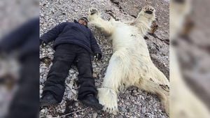 Ontario Couple Endures Polar Bear Attack