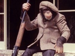 Bir maymun, seri katil olabilir mi?