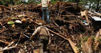 Harrowing Tales Emerge in Texas as Rescuers Keep Up Search for Missing