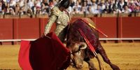 Las imágenes de la corrida de Morante de la Puebla, Juan Ortega y Pablo Aguado en Sevilla 2025