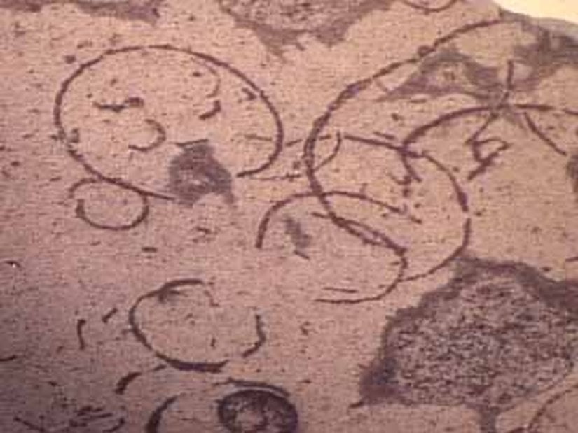 İlk ökaryotlara dair bazı iz fosilleri...