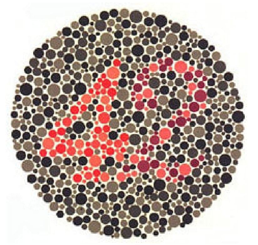 Plaka 23: Normal görüşlüler 42 görürler; kırmızı renk körleri (protanopya) veya kırmızı renk görüşü zayıflığı olanlar (protanomali) 2 görürler; kırmızı-yeşil renk körleri (deuteranopya) veya kırmızı-yeşil renk görüşü zayıflığı olanlar (deuteranomali) 4 görürler.