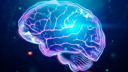 Kendini Bilmeyen Organımız Beynimiz