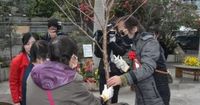 優雅な香りの桜を植樹、鳥取　視覚に障害あっても楽しんで ｜ 共同通信