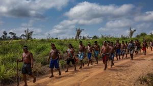 Environmental Defenders Face Unprecedented Danger Worldwide