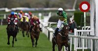 Pick your perfect Grand National 2025 horse using our handy interactive tool