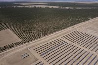 Trump Says US Won’t Approve Solar, Wind Projects That Hurt Farms