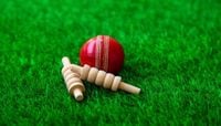 Indian Premier League Betting Preview And IPL Predictions (2025)