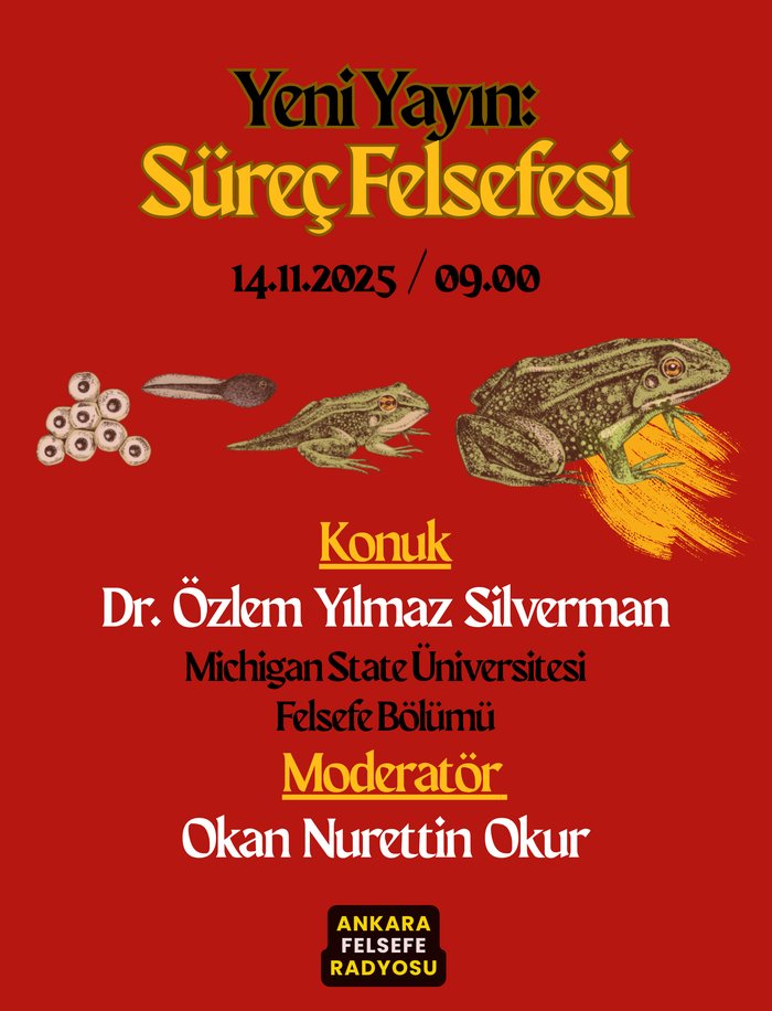 Süreç Felsefesi