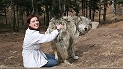 Köpeklerin Evrimi: Vahşi Kurtları Evcilleştirirerek Köpekleri Nasıl Evrimleştirdik?