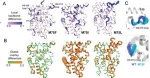 New Research Reveals Ligand Modifications Influence Nuclear Receptor Activity